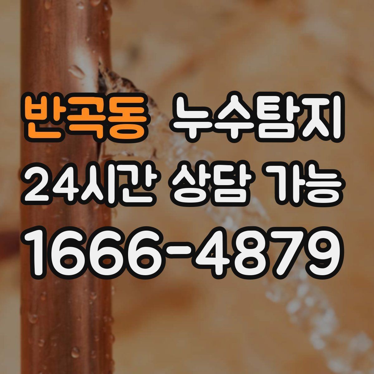 반곡동 누수탐지 사진과 영상으로 남긴 복구 기록