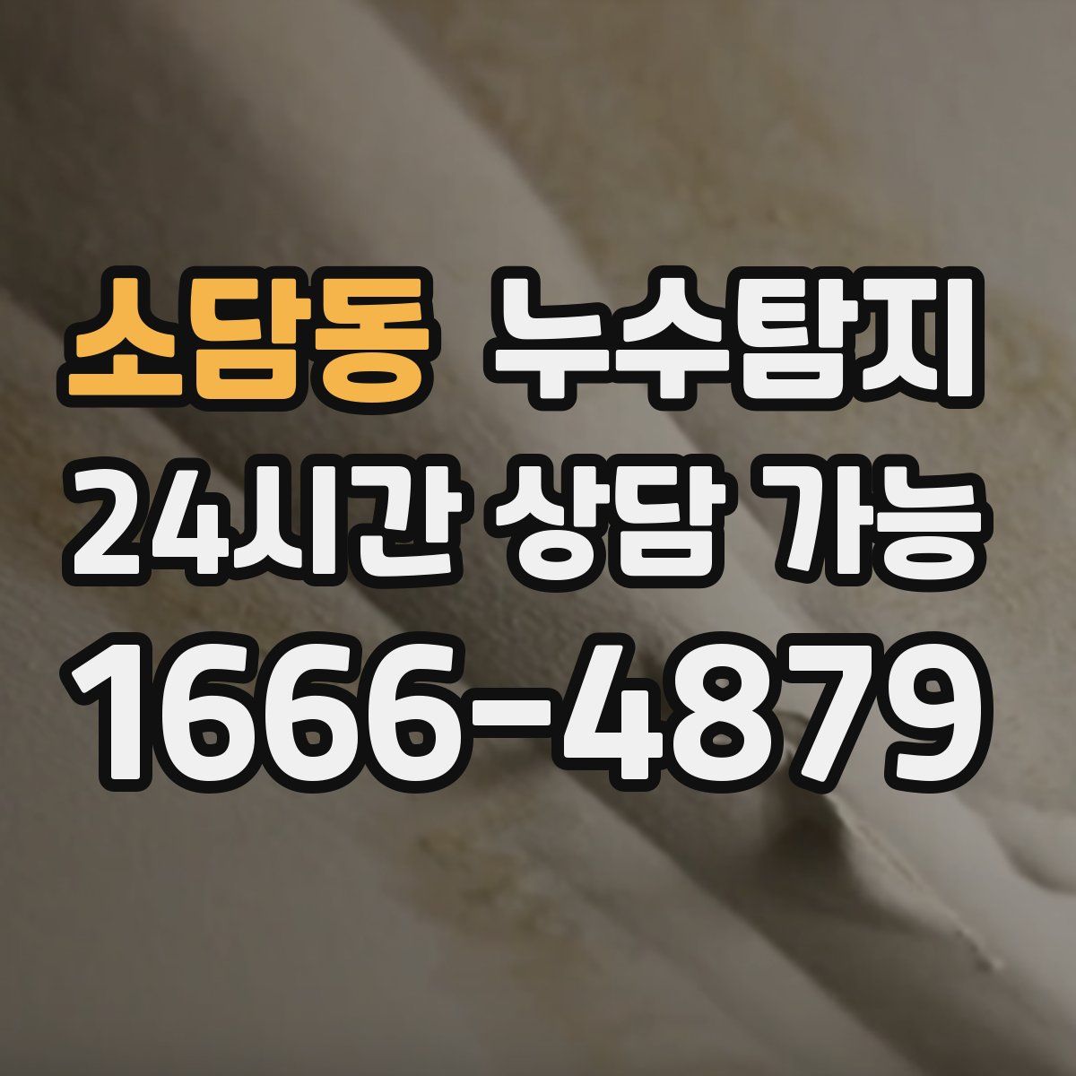 소담동 누수탐지