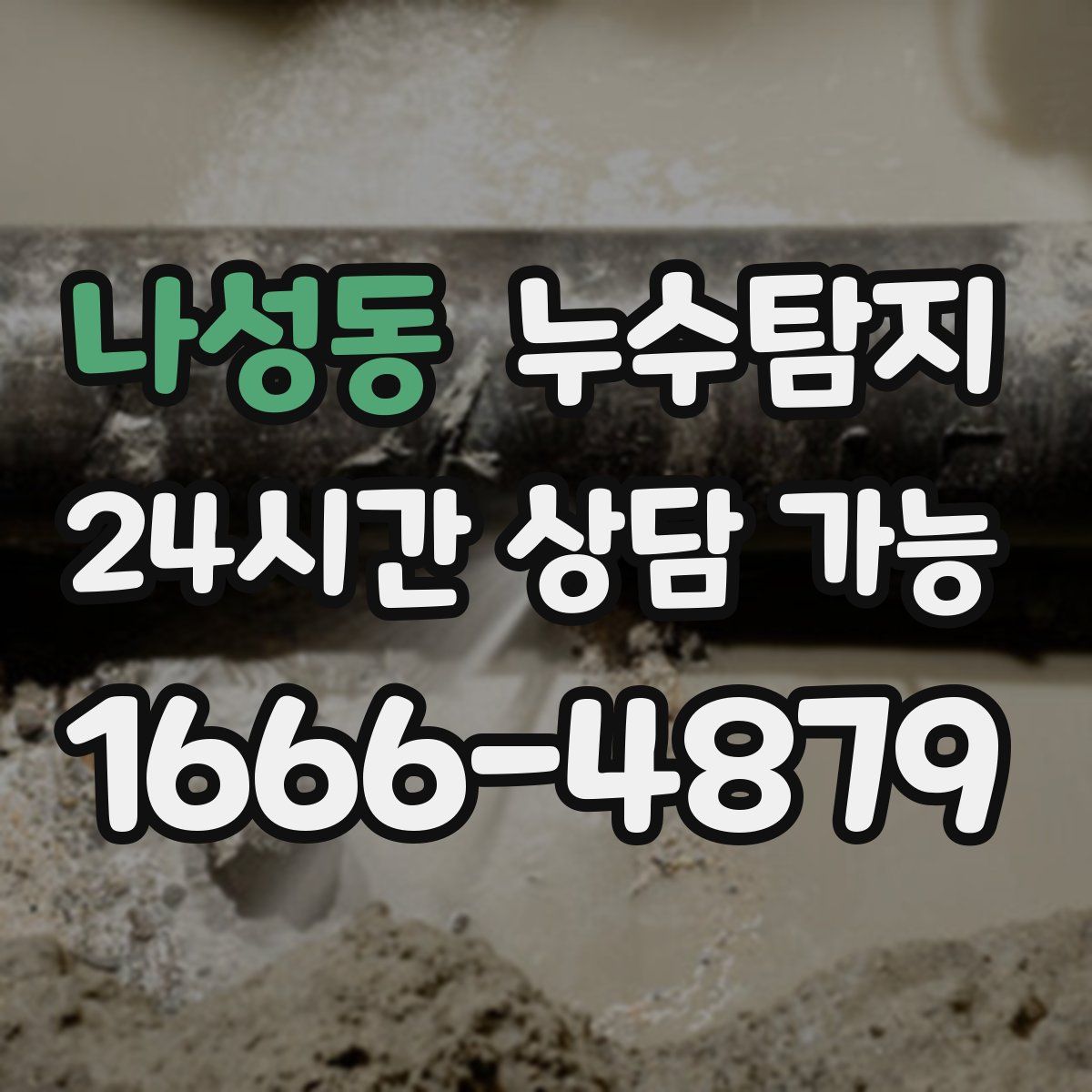 나성동 누수탐지