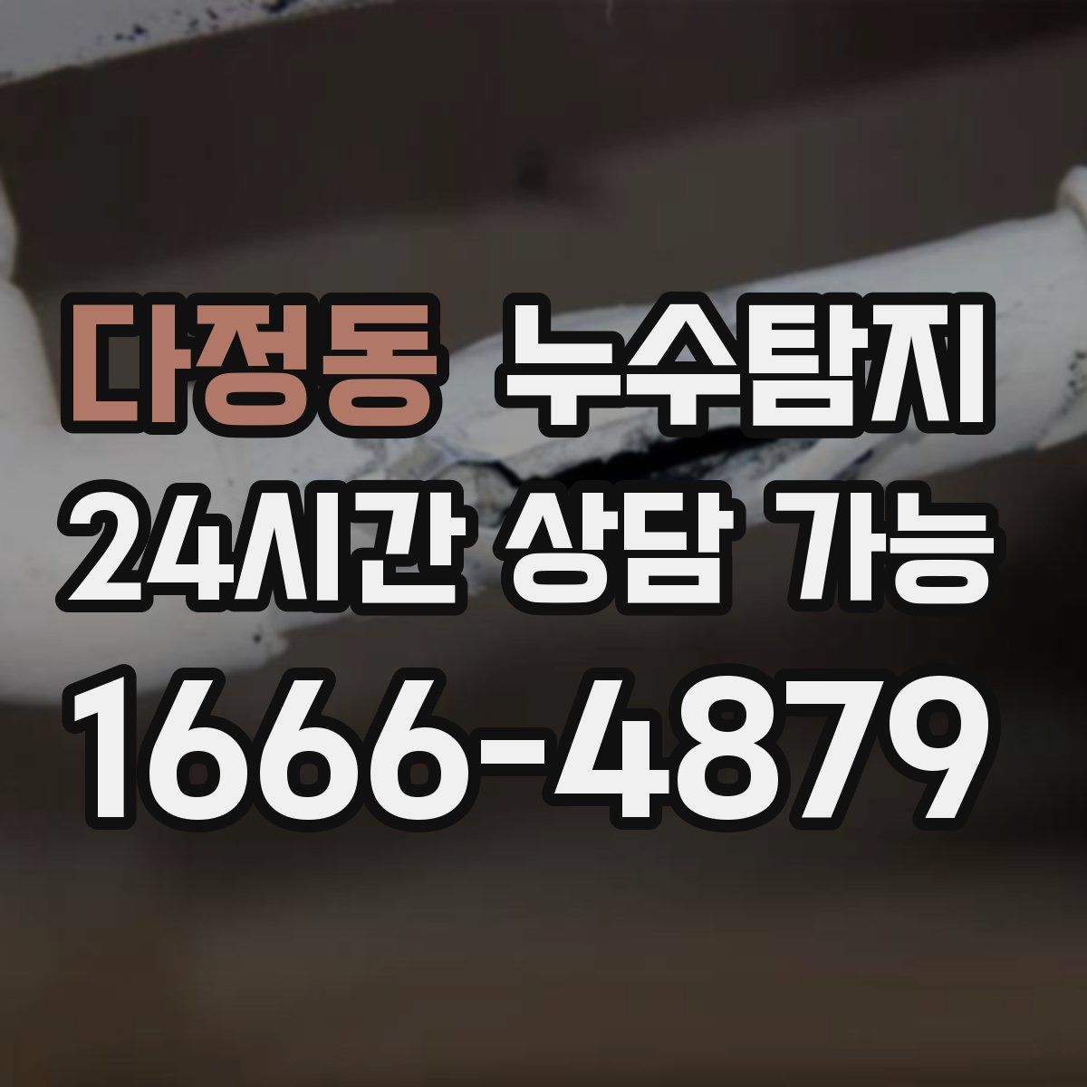 다정동 누수탐지