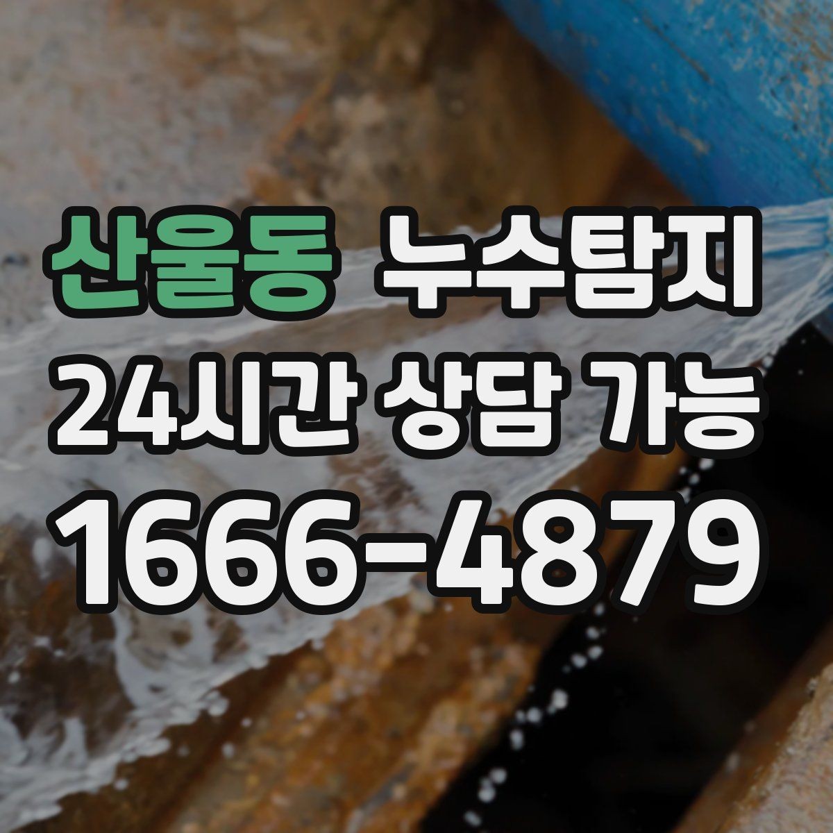 산울동 누수탐지 최소 파괴로 원인 찾는 과정 공개
