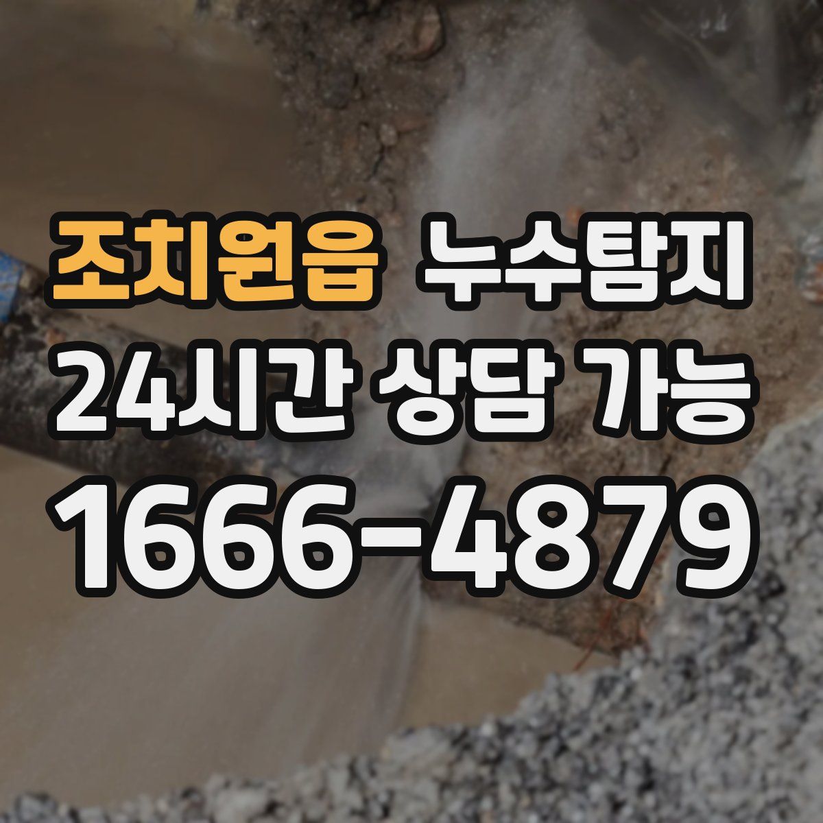 조치원읍 누수탐지