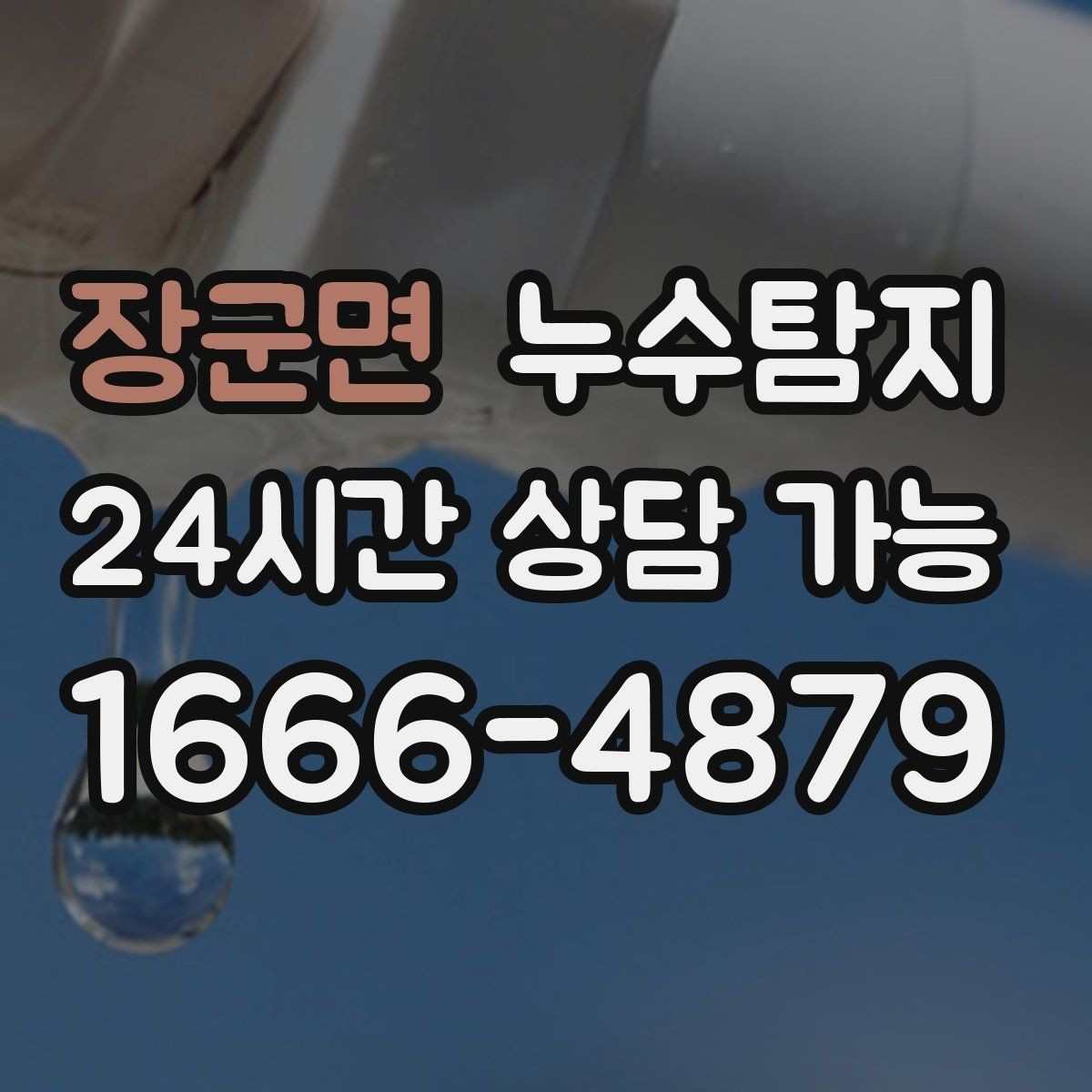 장군면 누수탐지 공실 관리 정기 점검 운영기