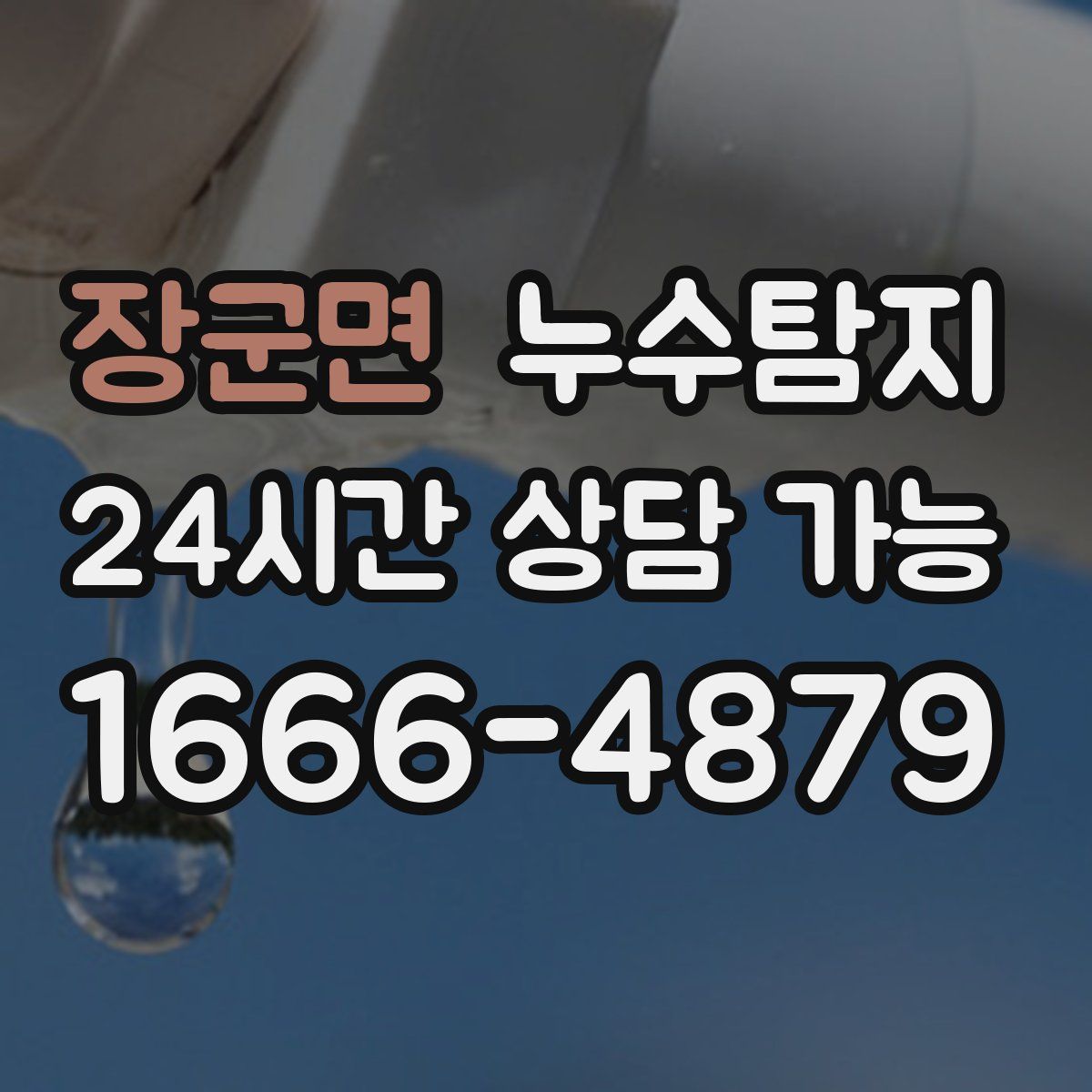 장군면 누수탐지