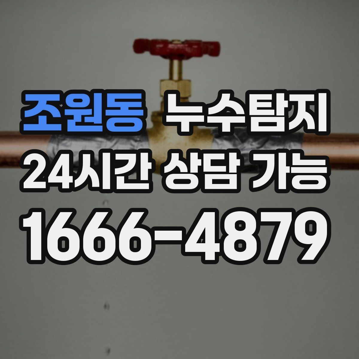 조원동 누수탐지 전문가와 함께한 현장 진단 이야기