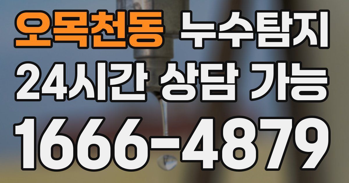 오목천동 누수