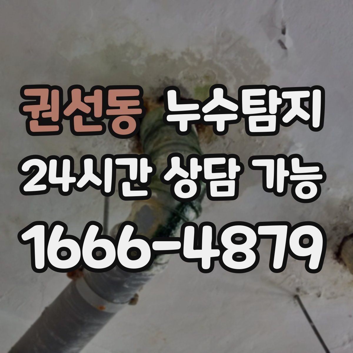 권선동 누수탐지 주말 공휴일 진단 운영