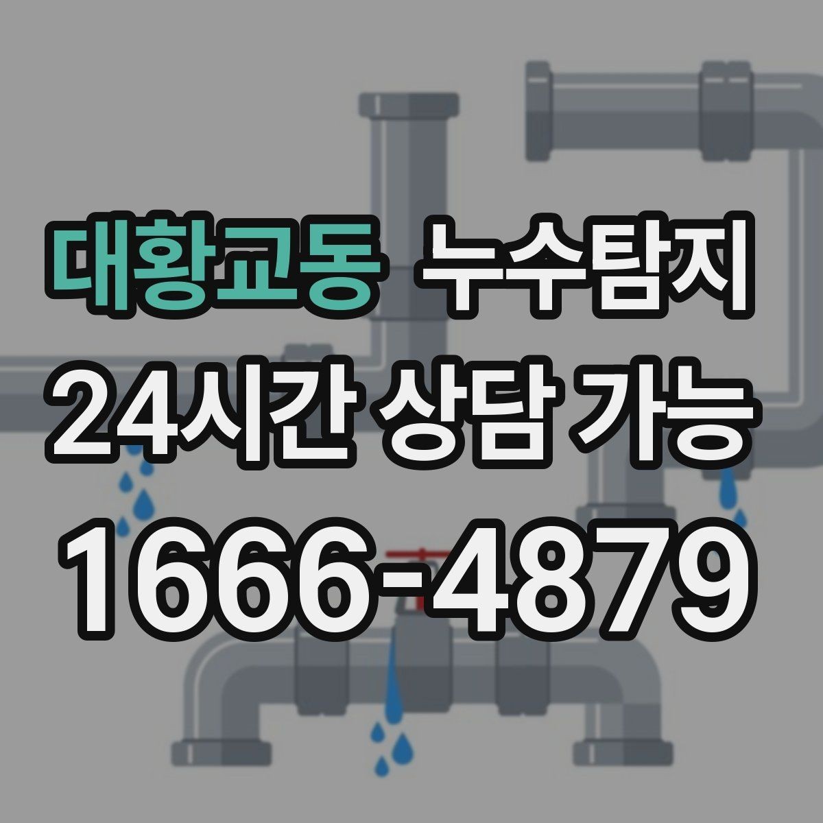 대황교동 누수탐지 발코니 물고임 원인 제거기
