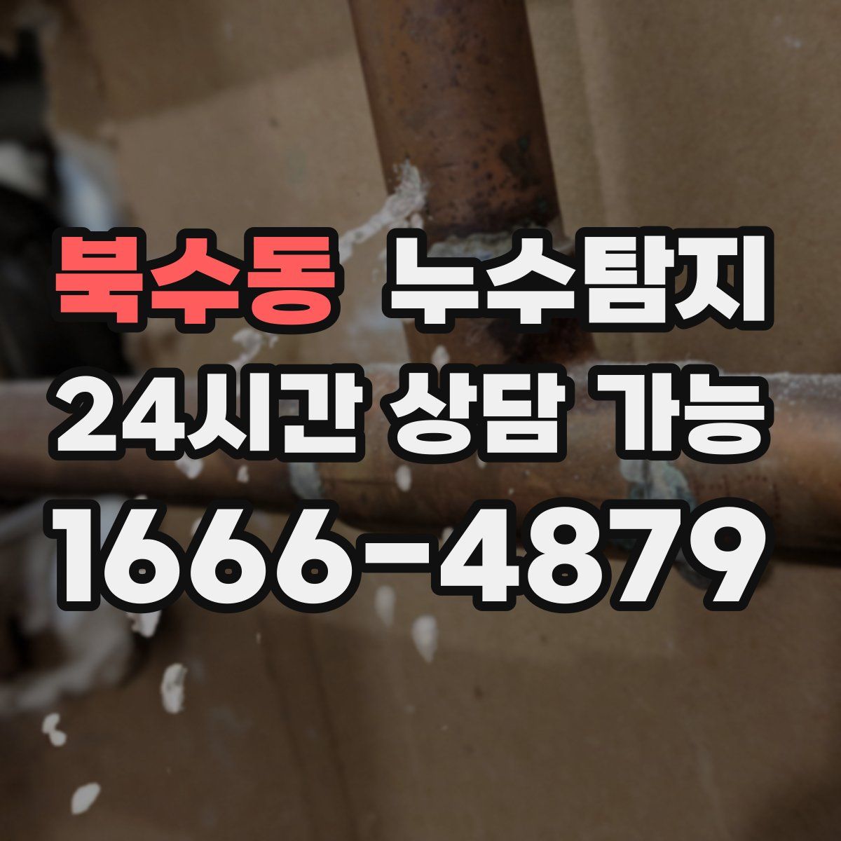 북수동 누수탐지