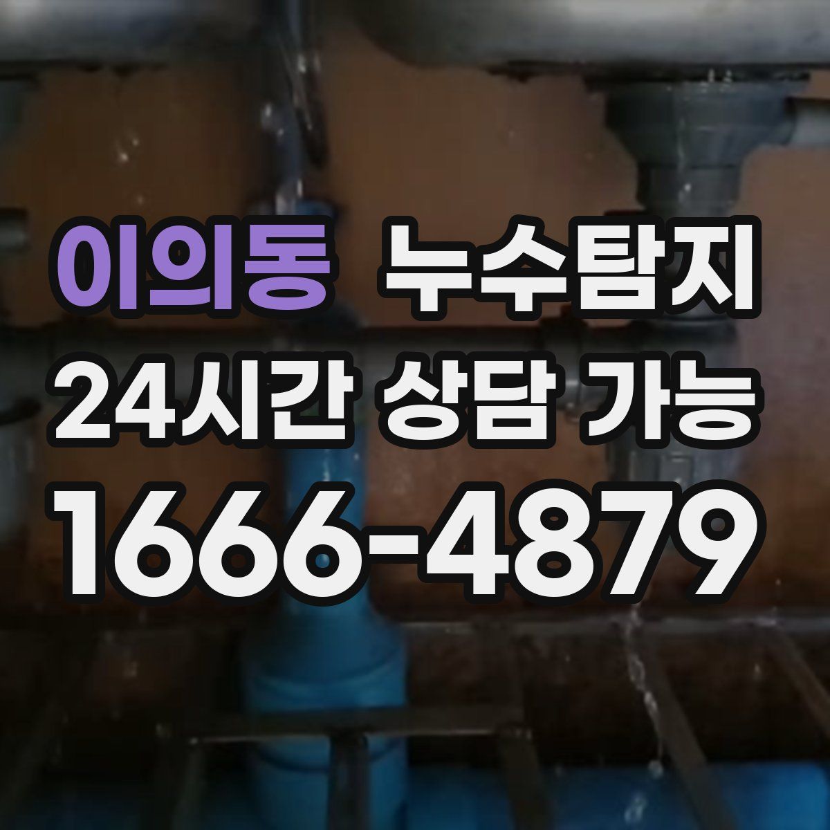 이의동 누수탐지