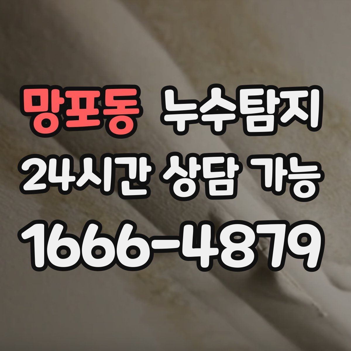 망포동 누수탐지 반려가정 배려 점검 후기