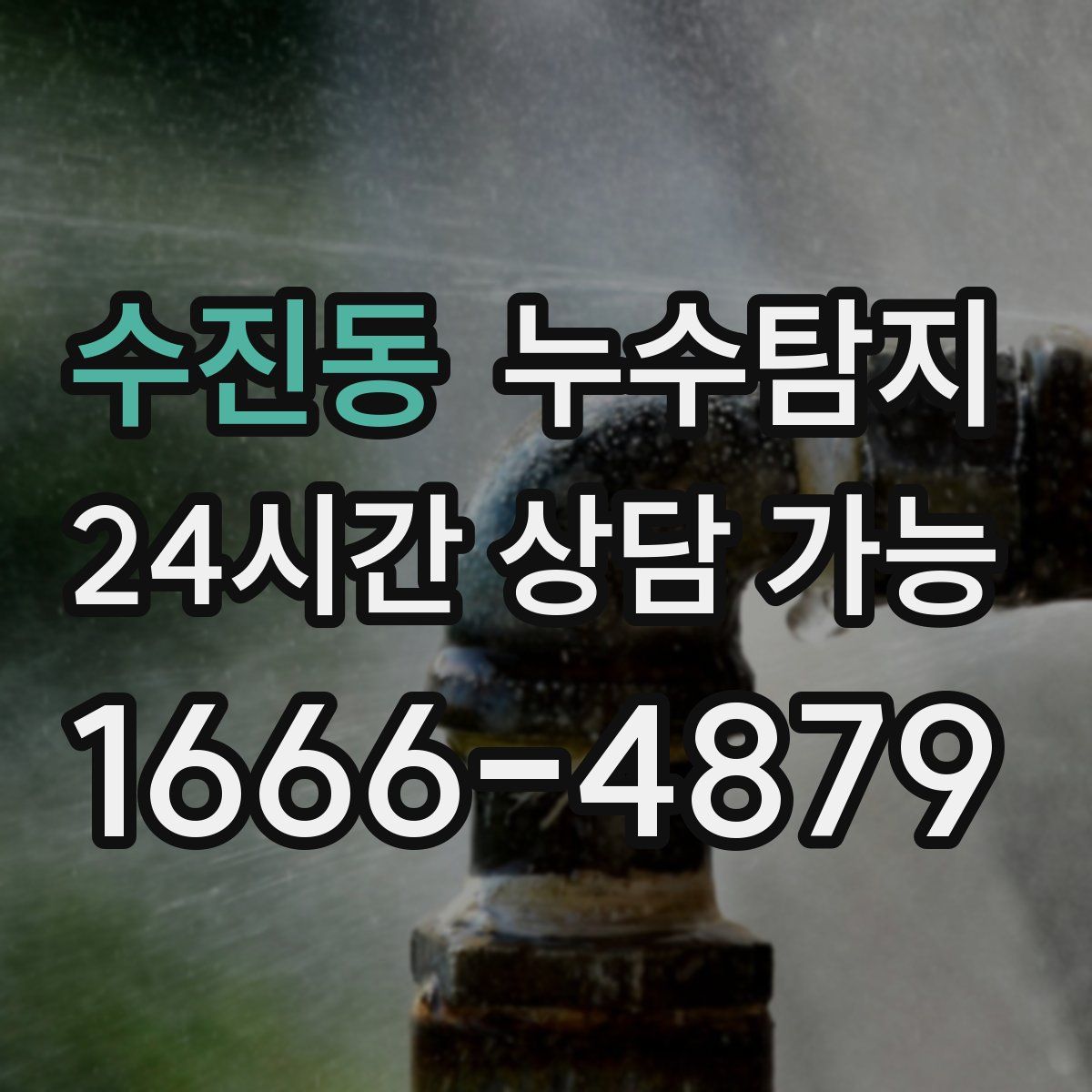 수진동 누수탐지