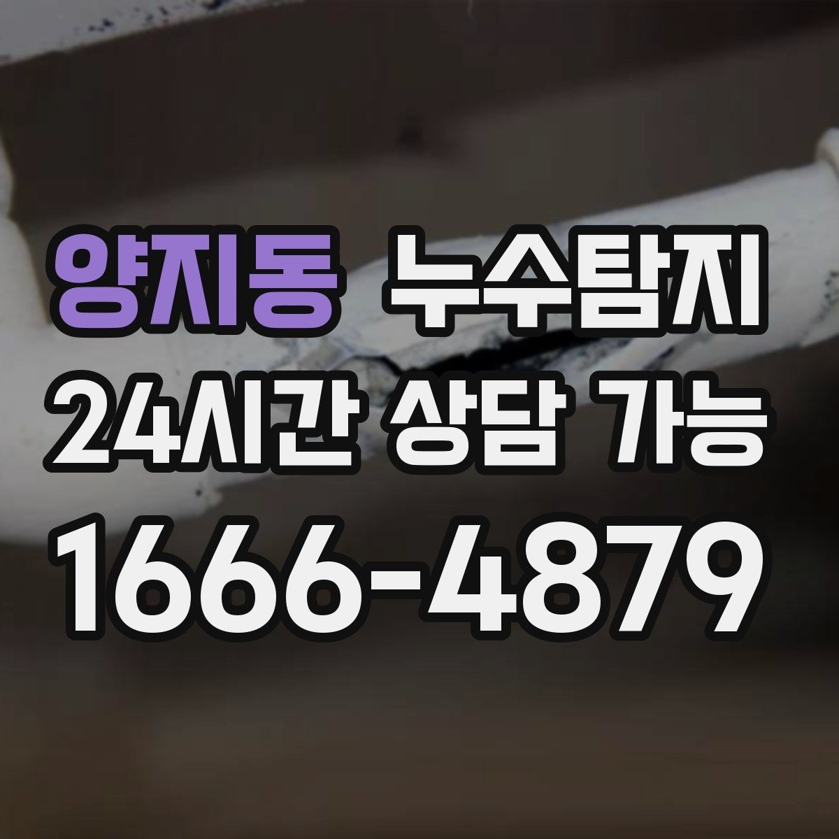 양지동 누수탐지 아파트 빌라 전문 진단