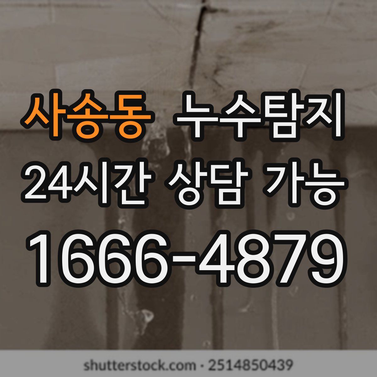 사송동 누수탐지