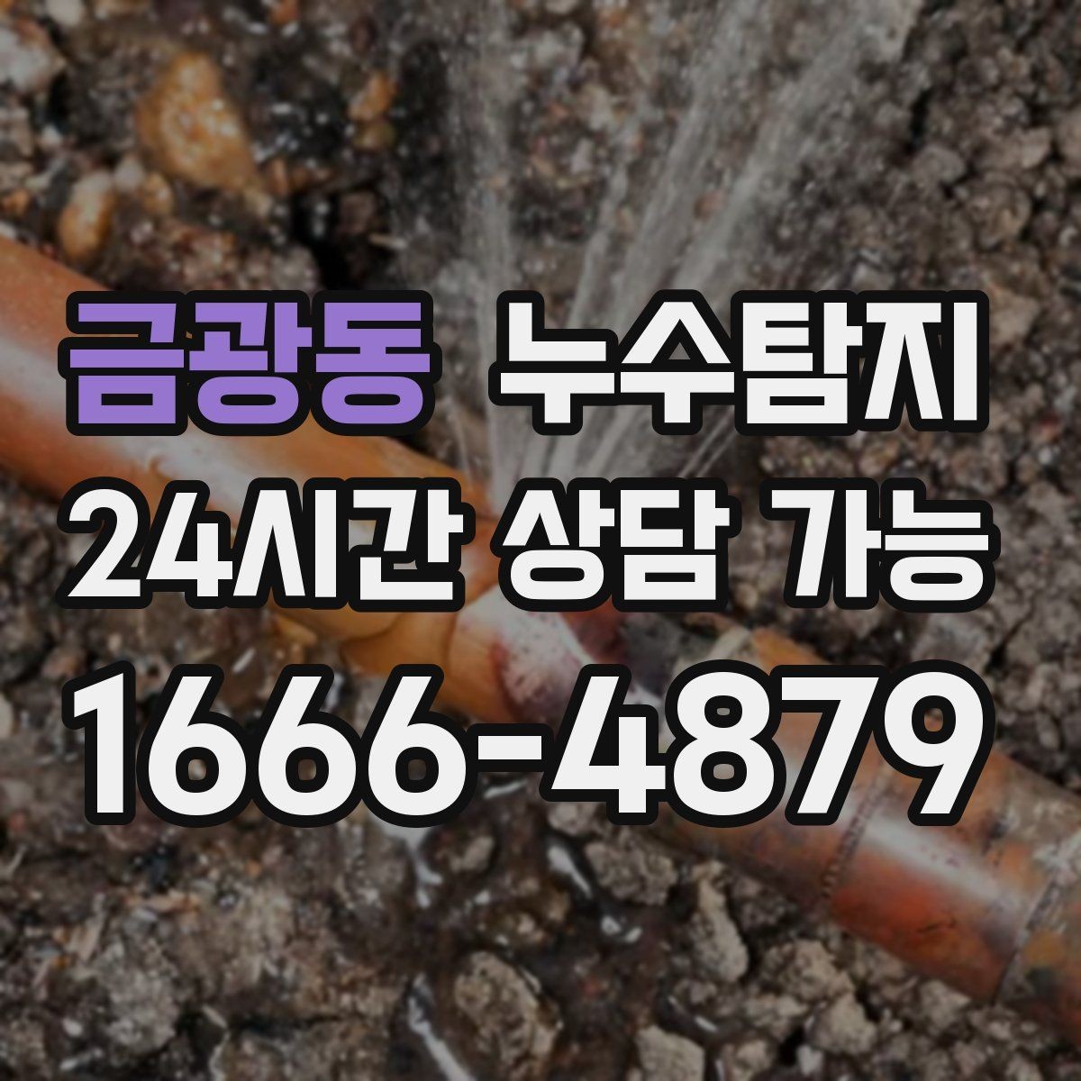 금광동 누수탐지 층간 누수 분쟁 데이터 진단