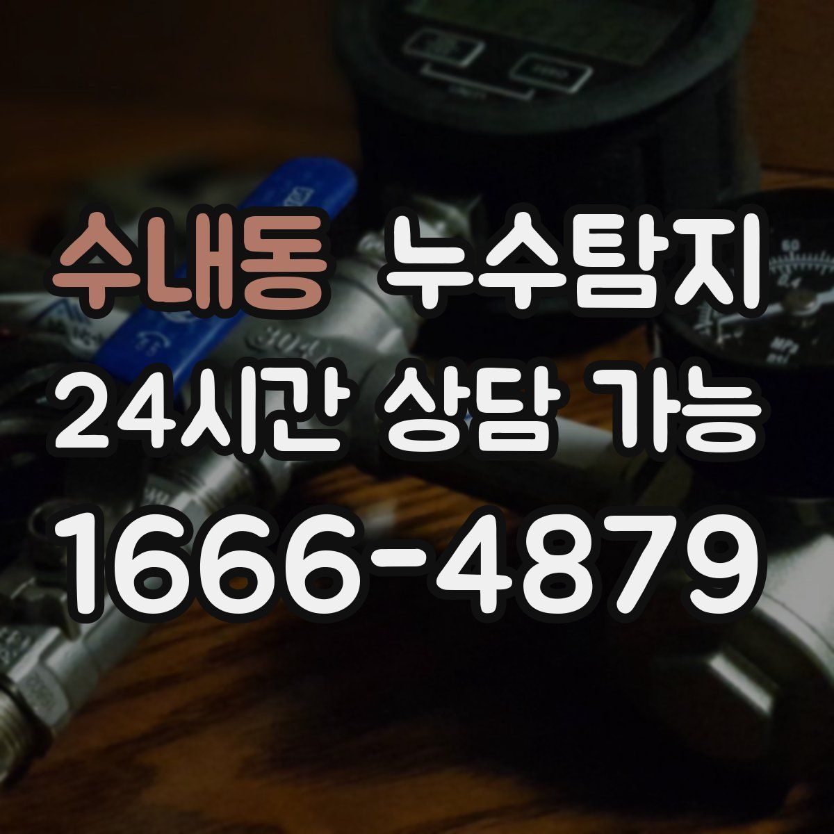 수내동 누수탐지