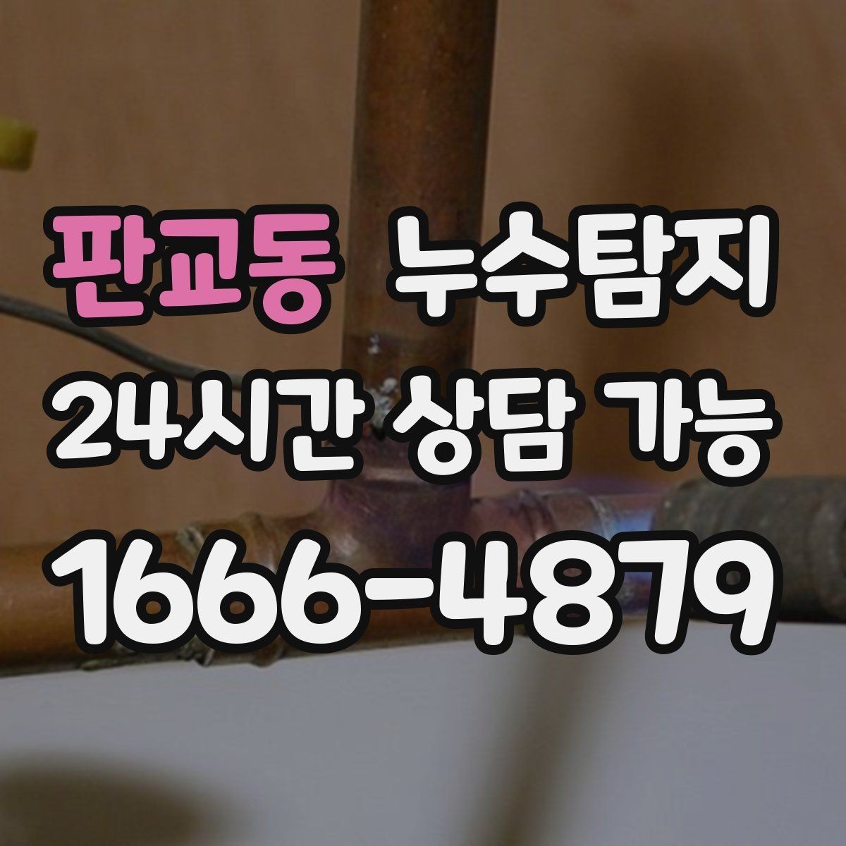 판교동 누수탐지 옥상 지붕 누수 점검