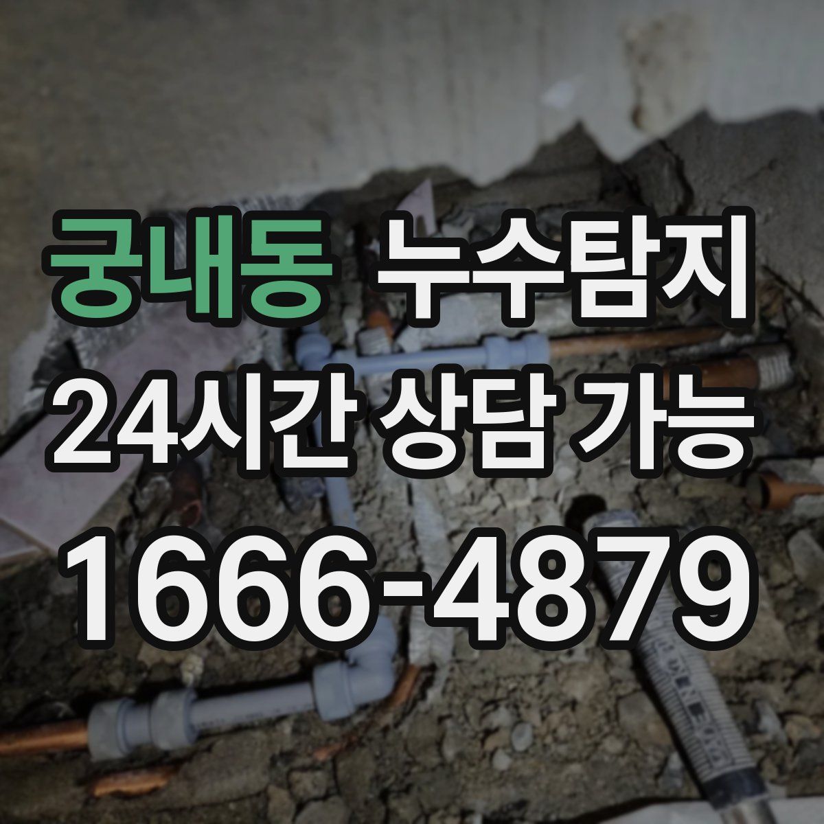 궁내동 누수탐지