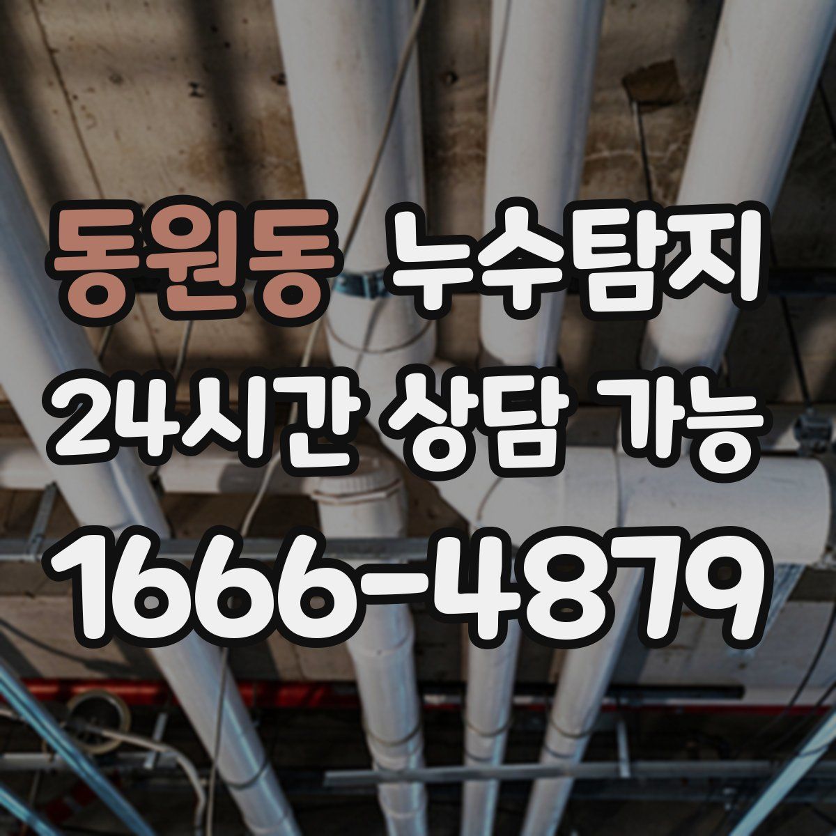 동원동 누수탐지