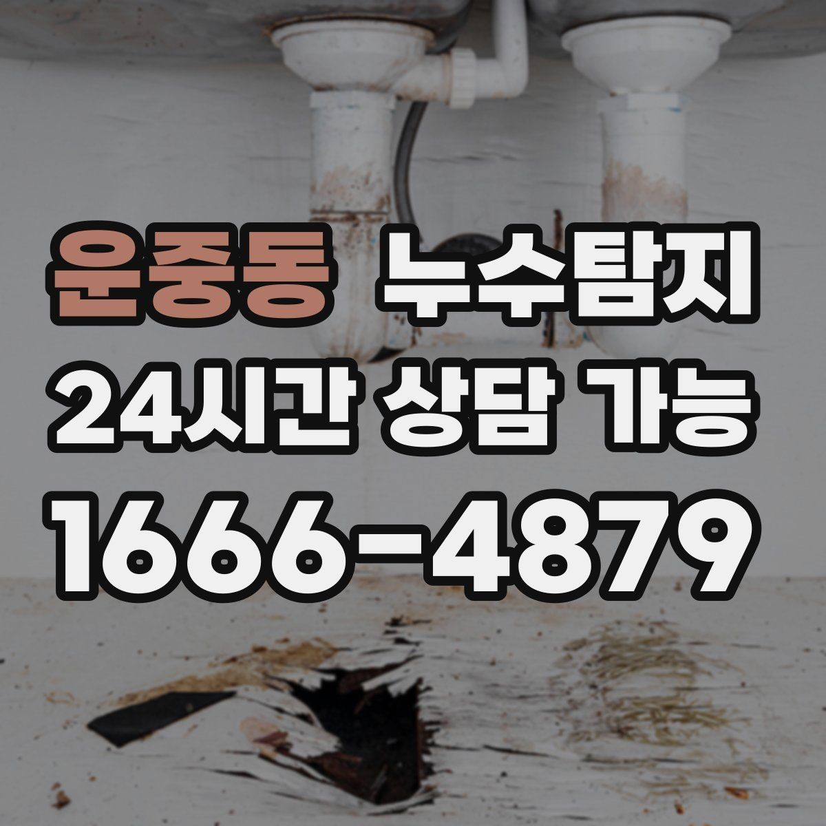 운중동 누수탐지 의심될 때 신속하게 해결하는 것이 해답