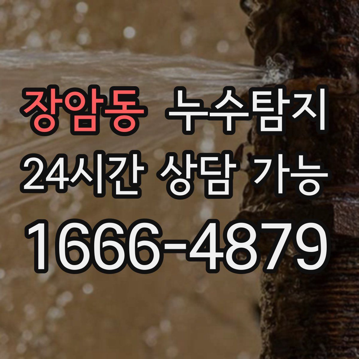 장암동 누수탐지