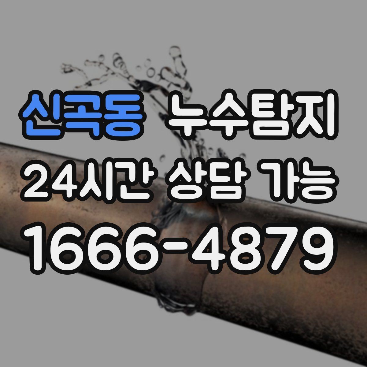 신곡동 누수탐지 시공사와 협업해 본 실제 과정