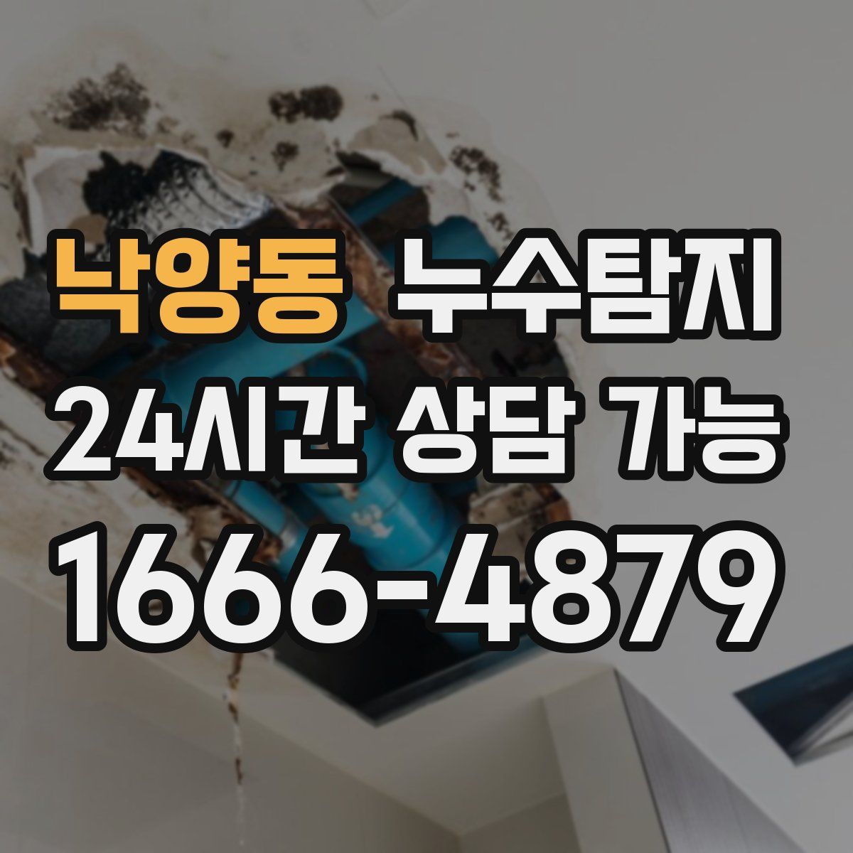 낙양동 누수탐지
