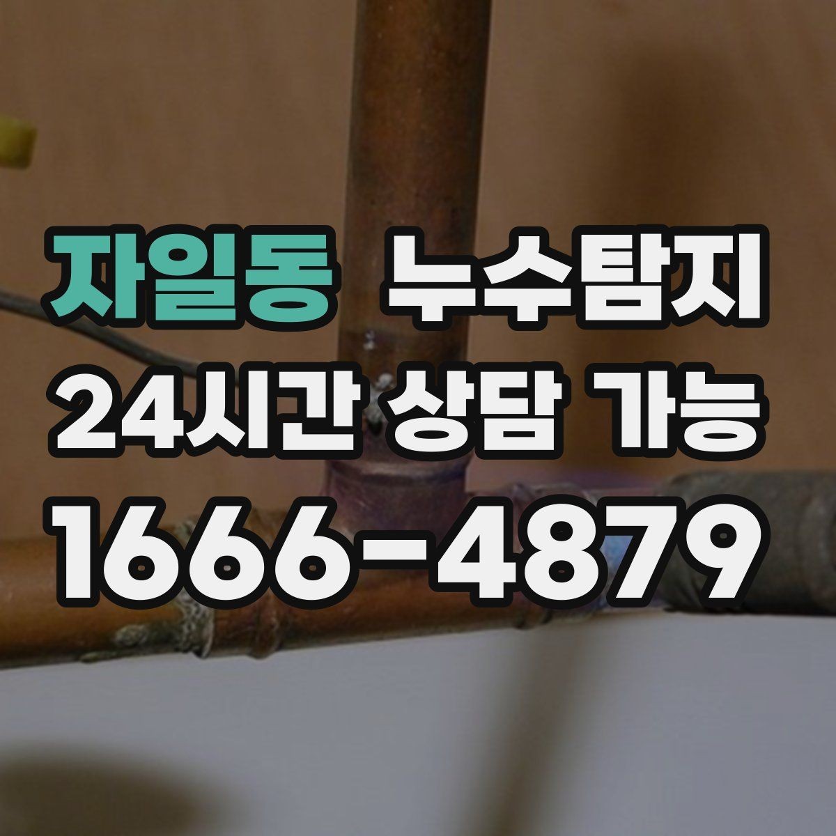 자일동 누수탐지 내시경 점검으로 본 배관 상태