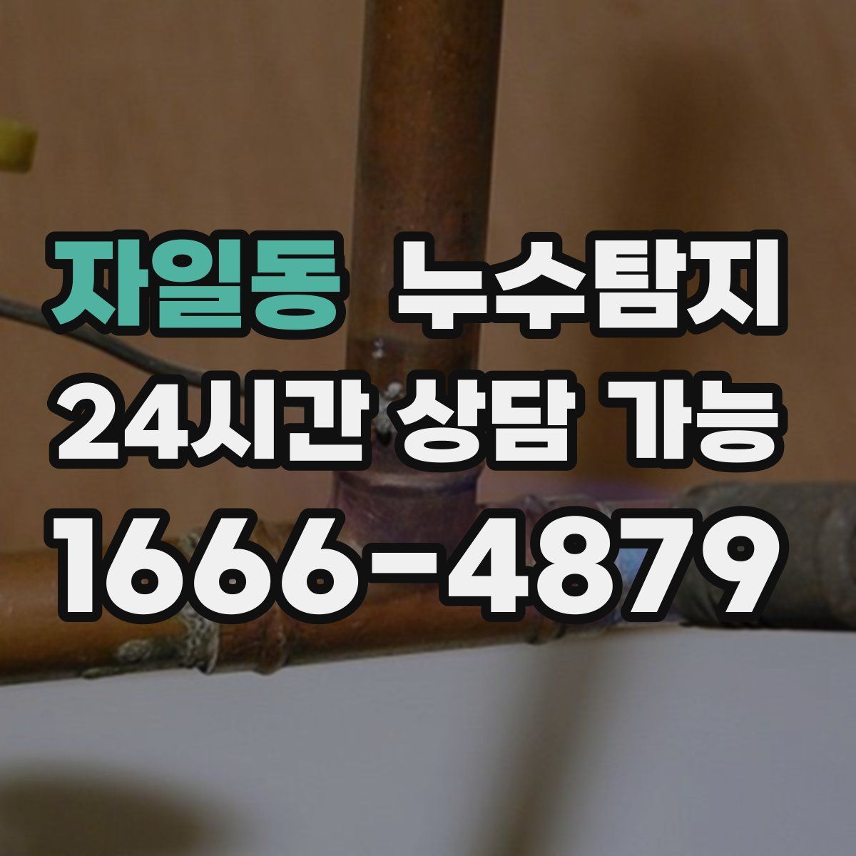 자일동 누수탐지