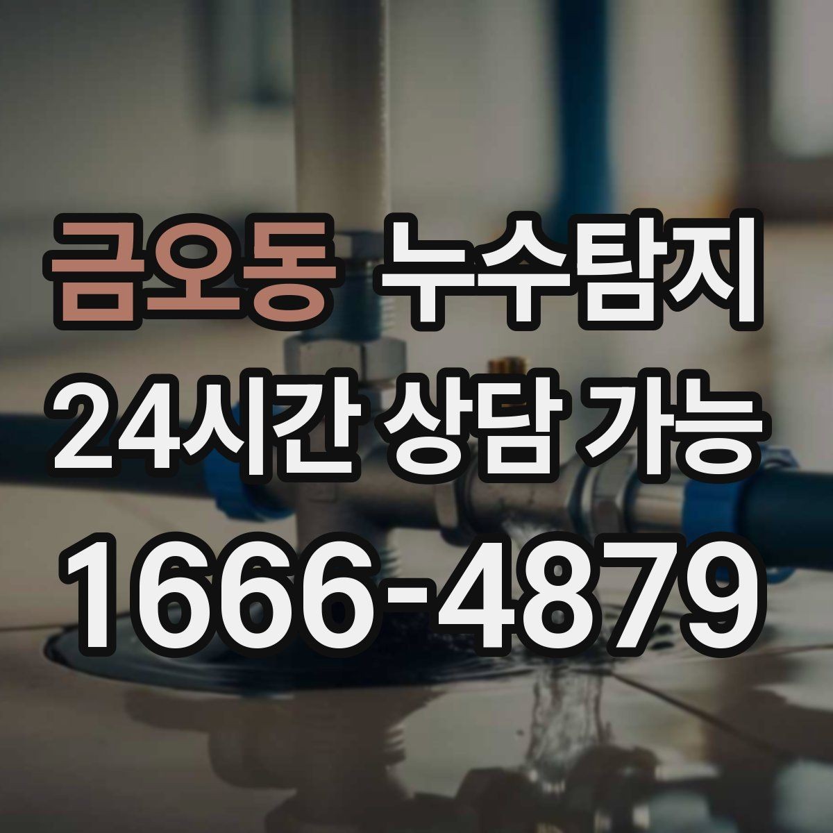 금오동 누수탐지 비용 가격 요금 안내와 상담을 원하신다면