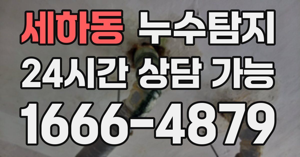 세하동 누수