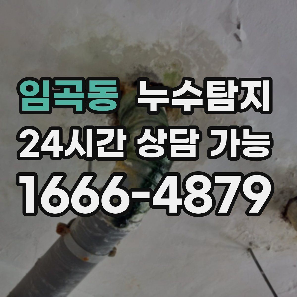 임곡동 누수탐지 전세 계약 전 필수 하자 점검 가이드