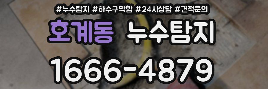 누수탐지