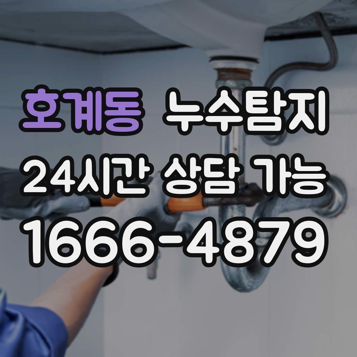 호계동 누수탐지
