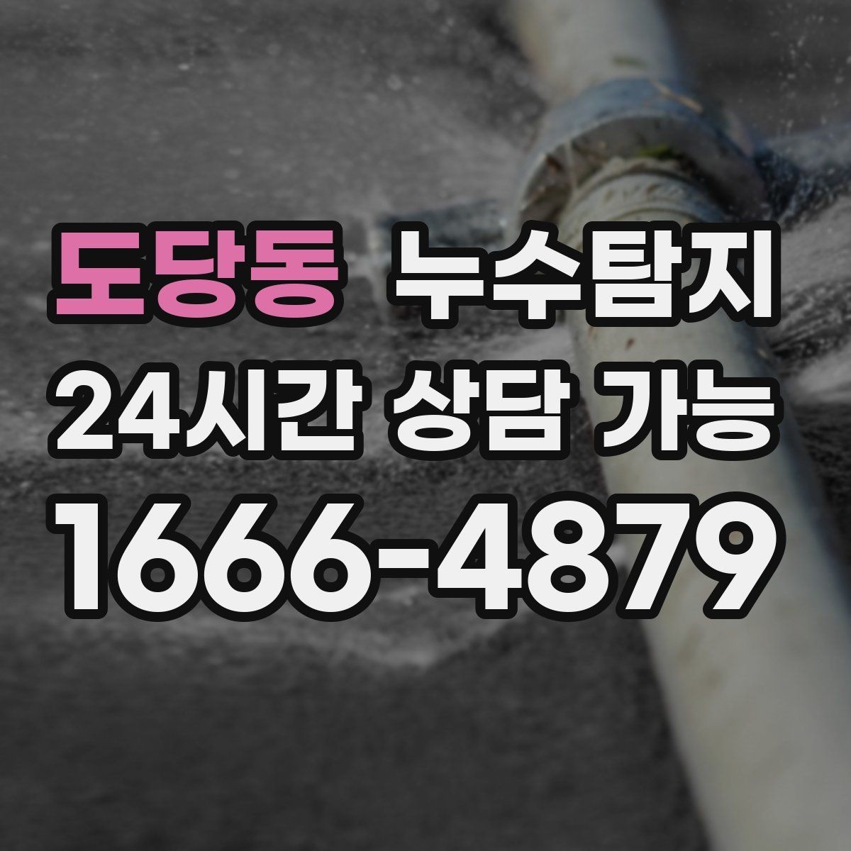 도당동 누수탐지 새집인데 왜 물이 새는지 점검기