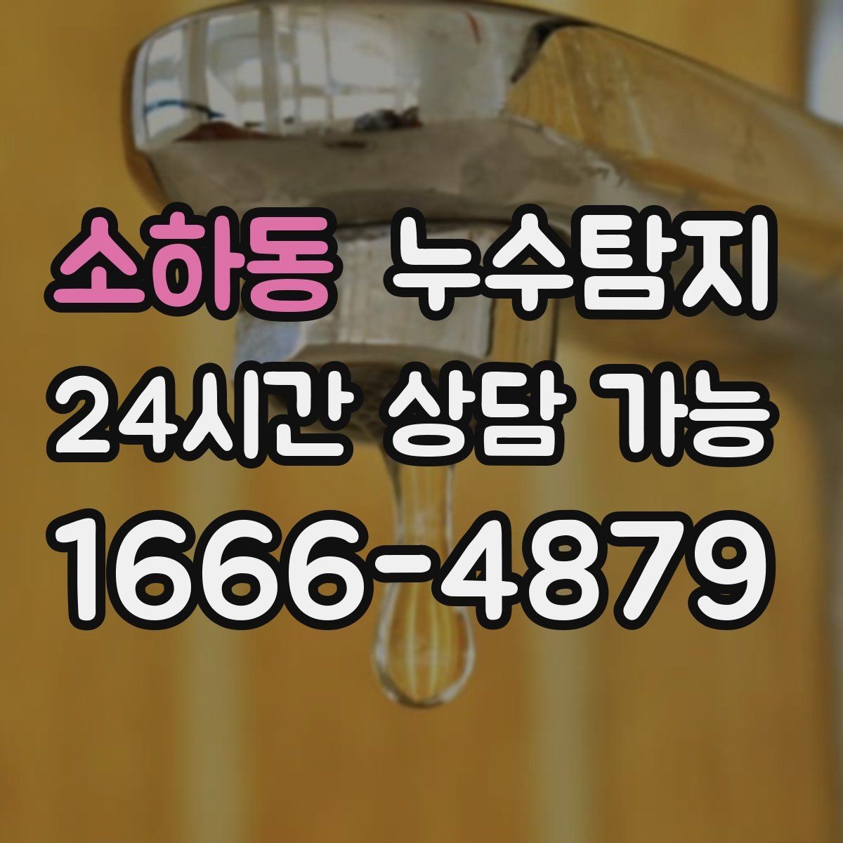 소하동 누수탐지 전문가와 함께한 현장 진단 이야기