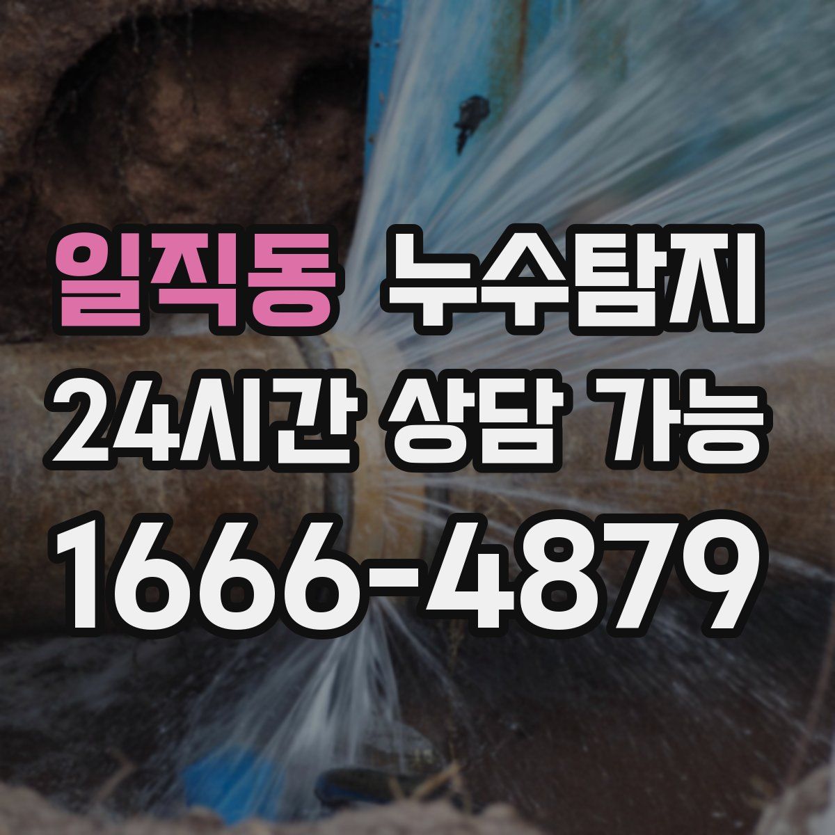 일직동 누수탐지