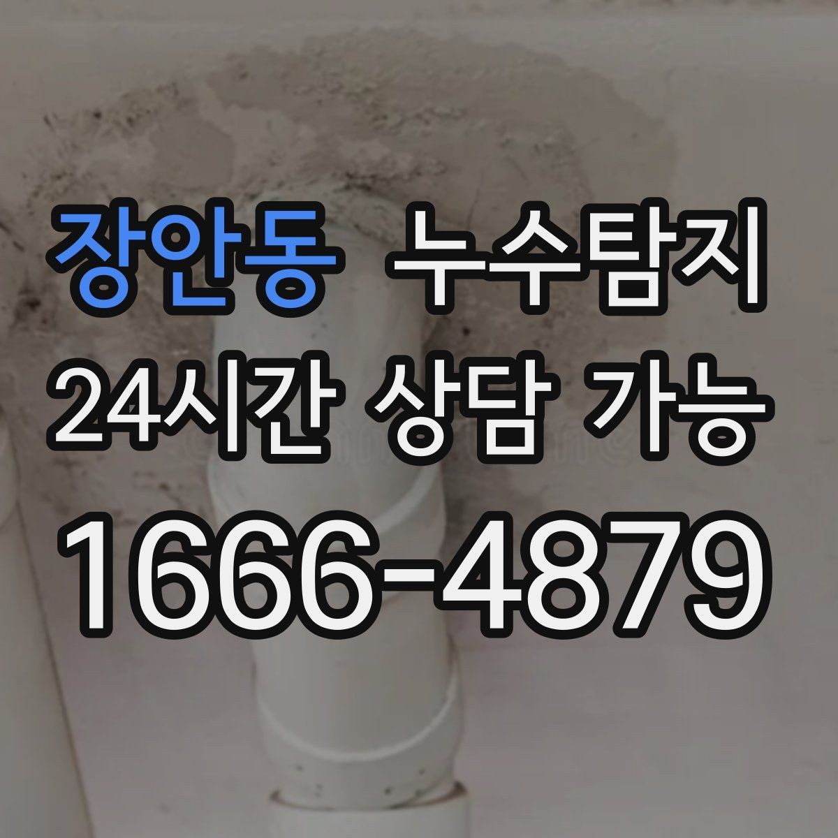 장안동 누수탐지 빠른 대처가 비용을 줄인 사례