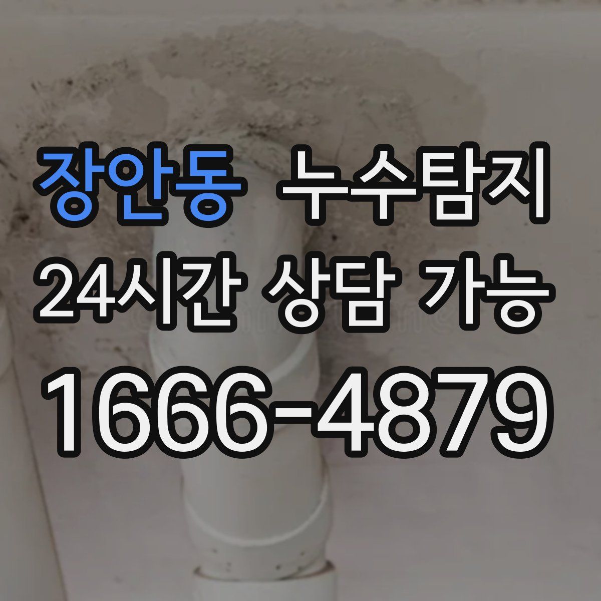 장안동 누수탐지