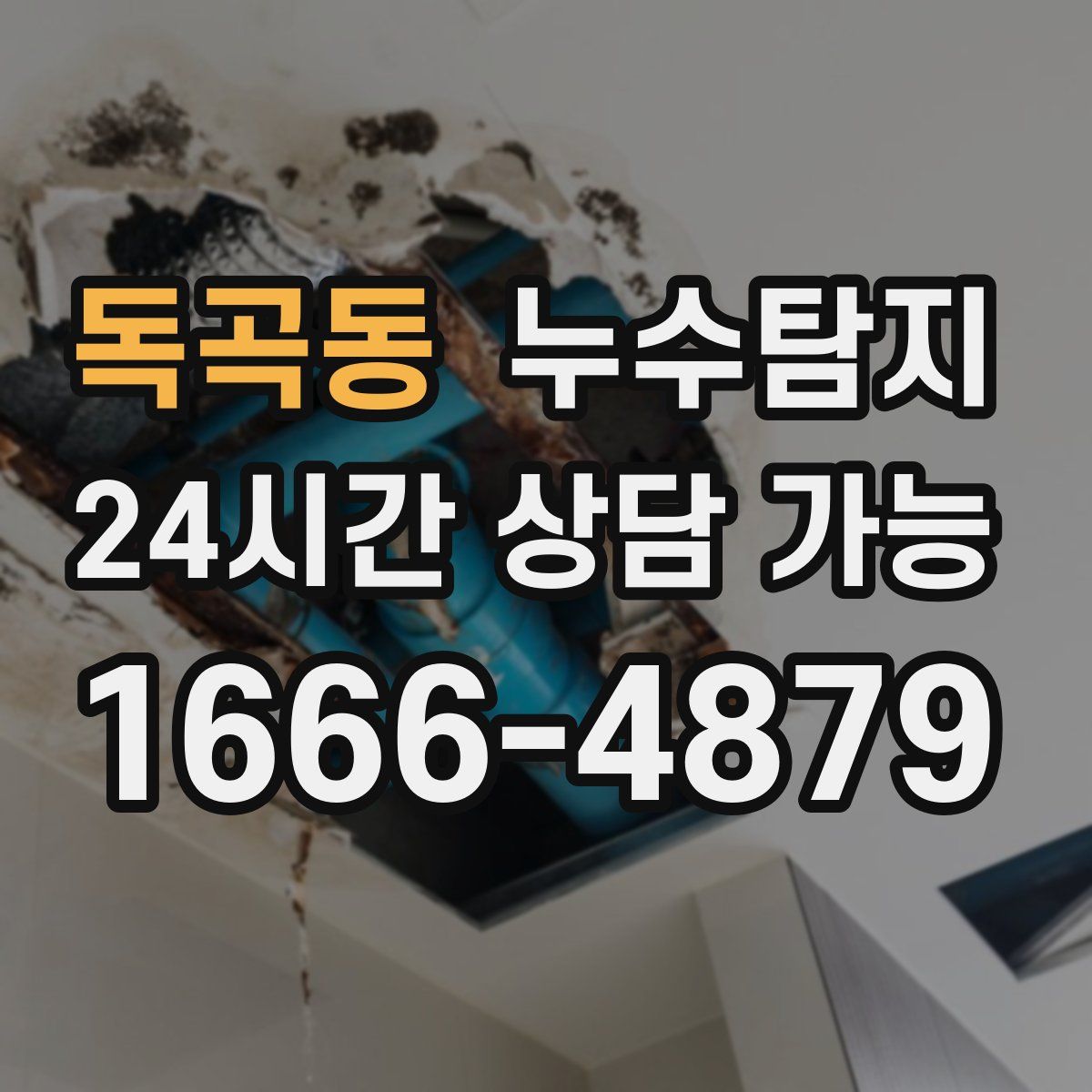 독곡동 누수탐지