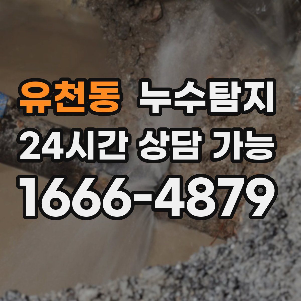 유천동 누수탐지