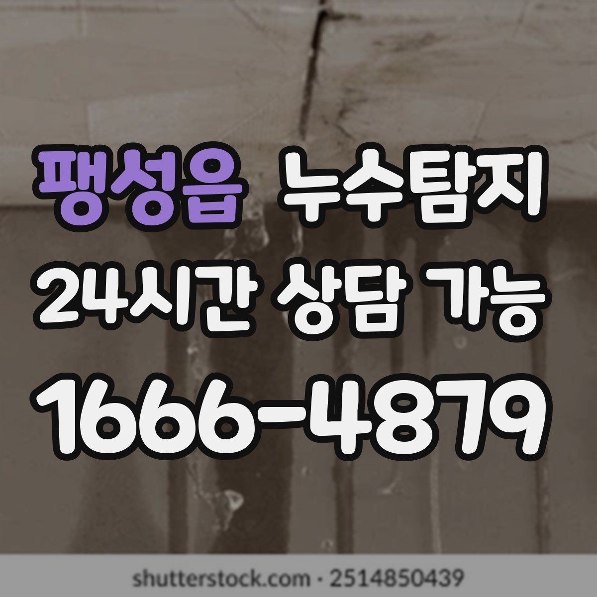 팽성읍 누수탐지 아파트 빌라 전문 진단