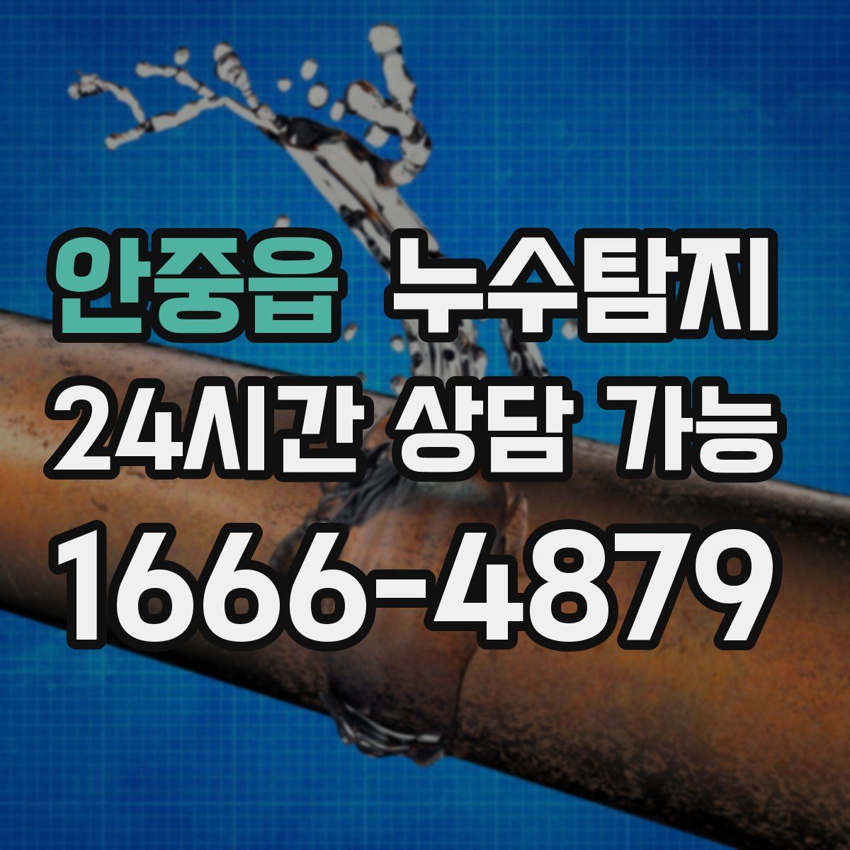 안중읍 누수탐지