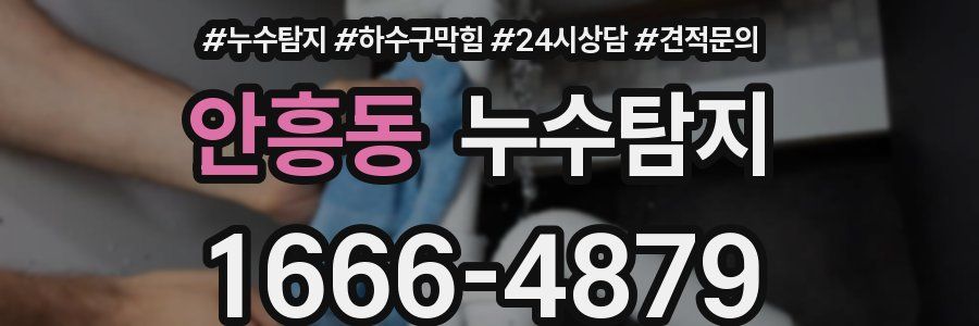 누수탐지
