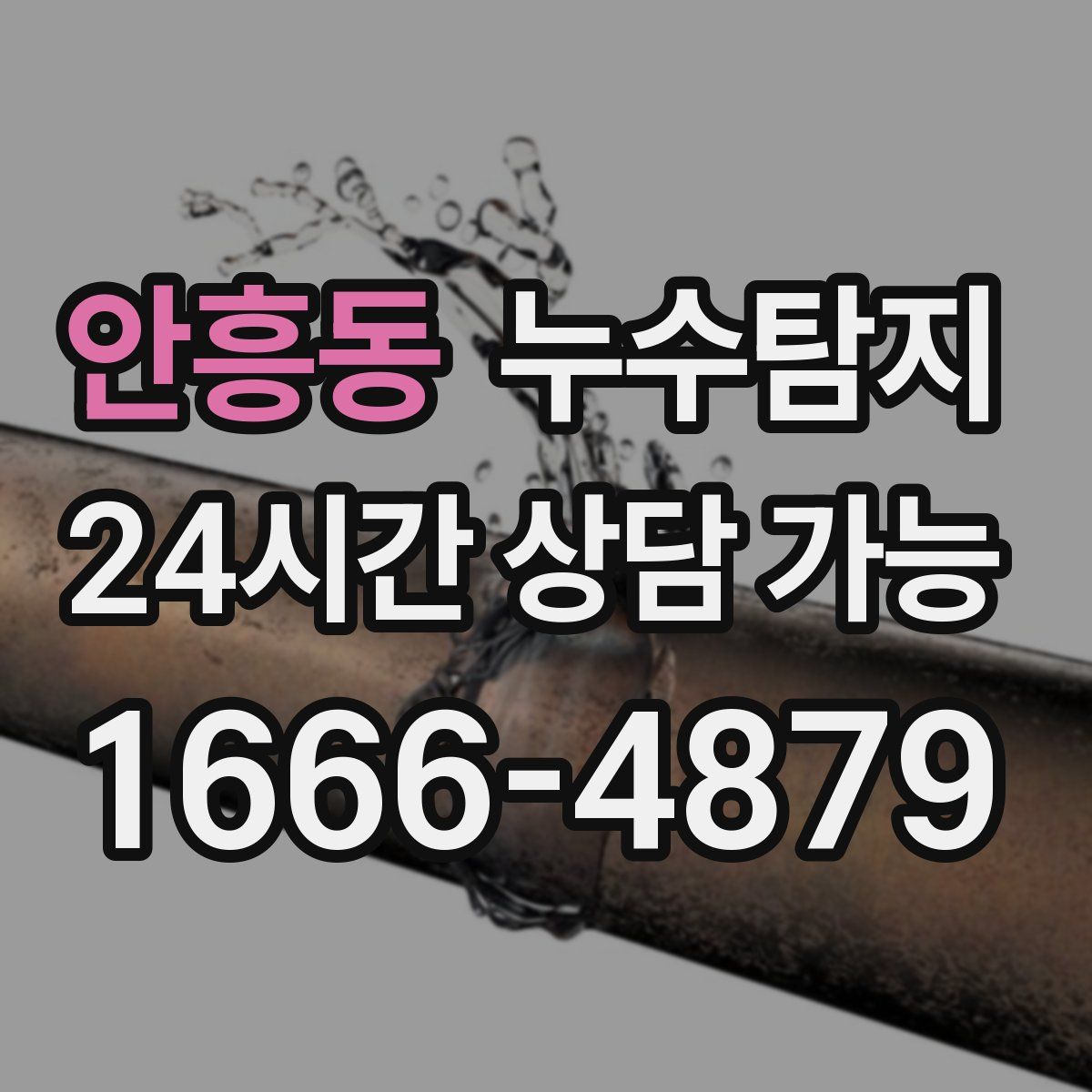 안흥동 누수탐지