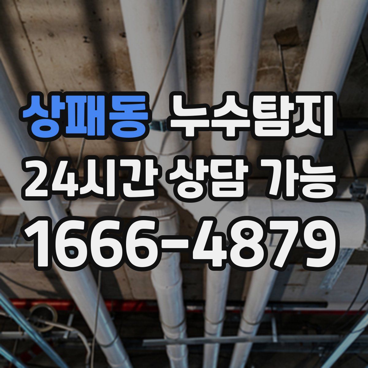상패동 누수탐지