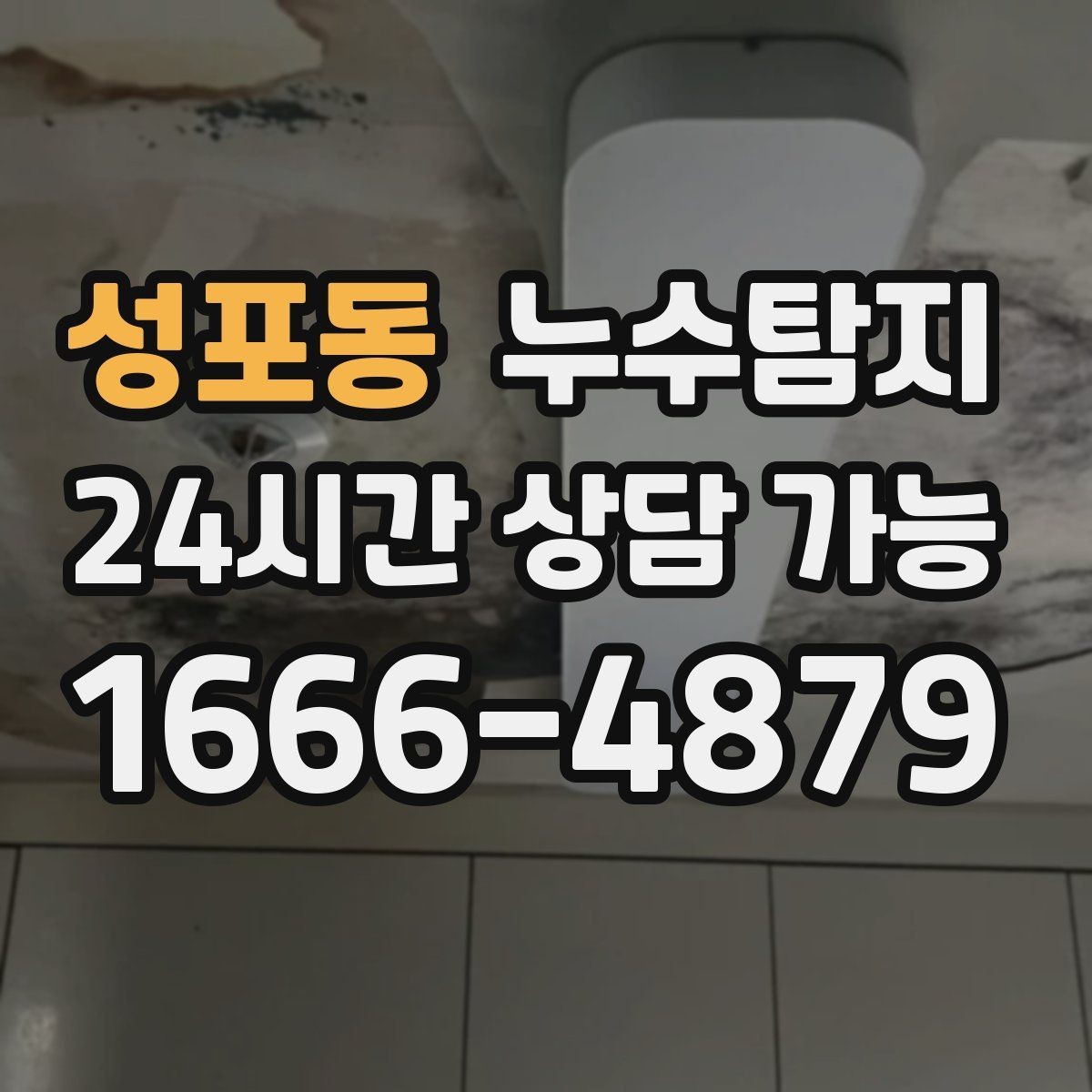 성포동 누수탐지 아이와 반려동물을 위한 안전 점검