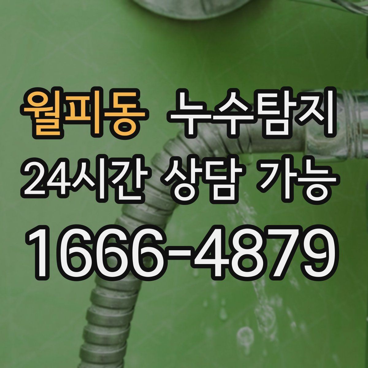 월피동 누수탐지 상가 영업 중 조용한 점검기