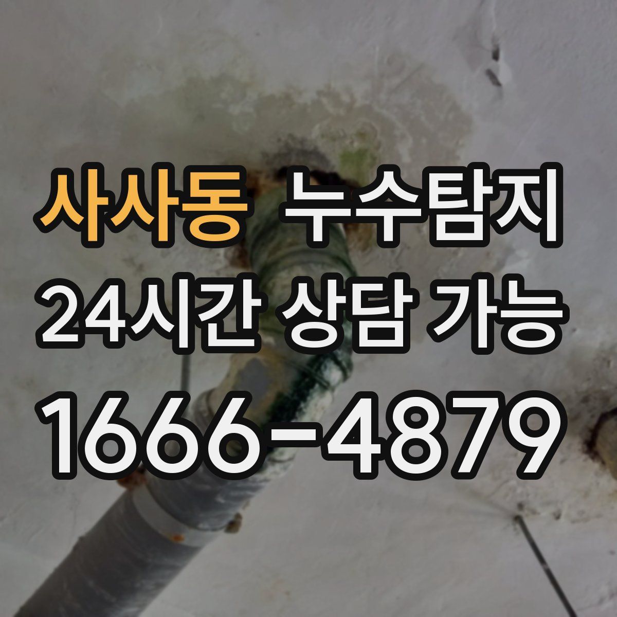 사사동 누수탐지