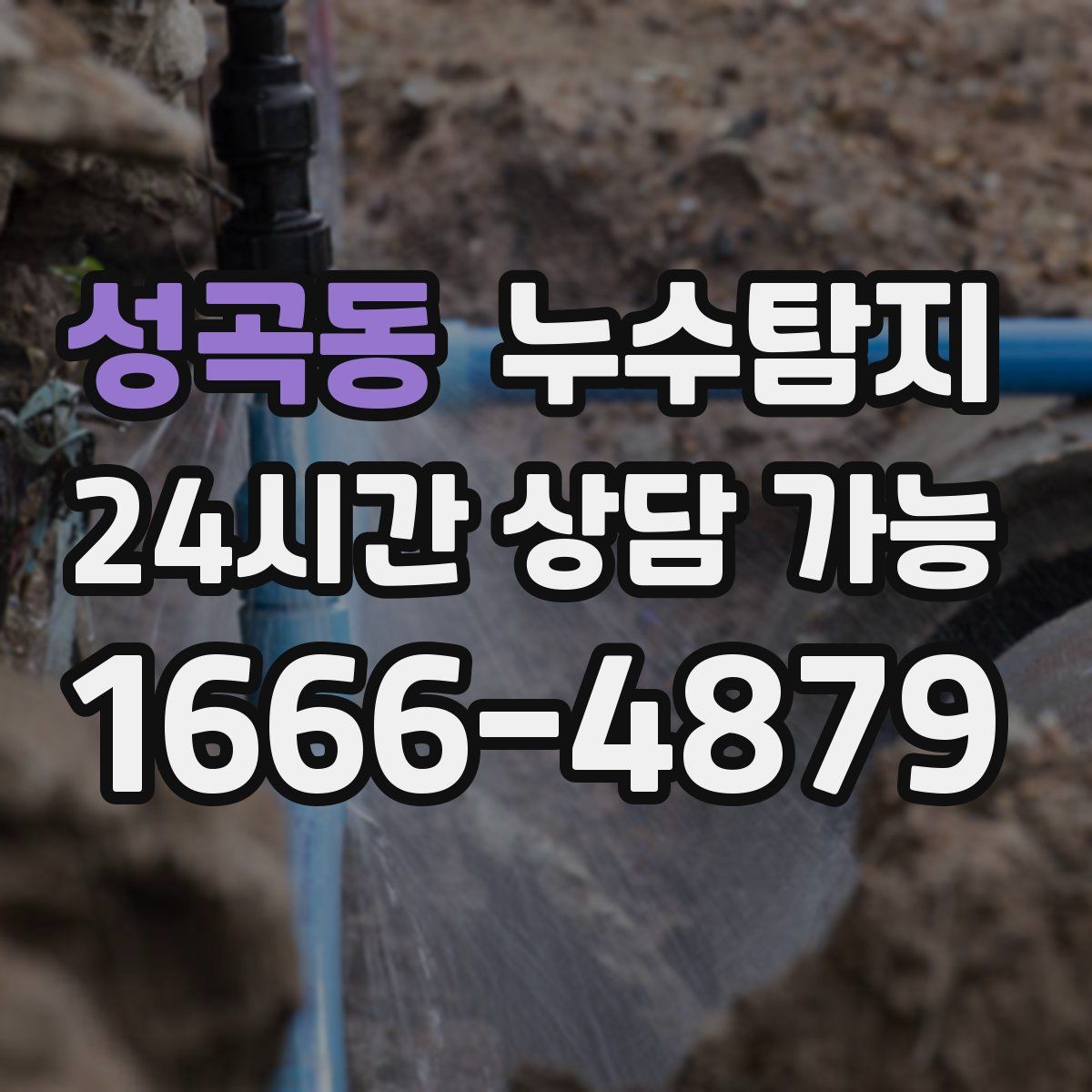 성곡동 누수탐지